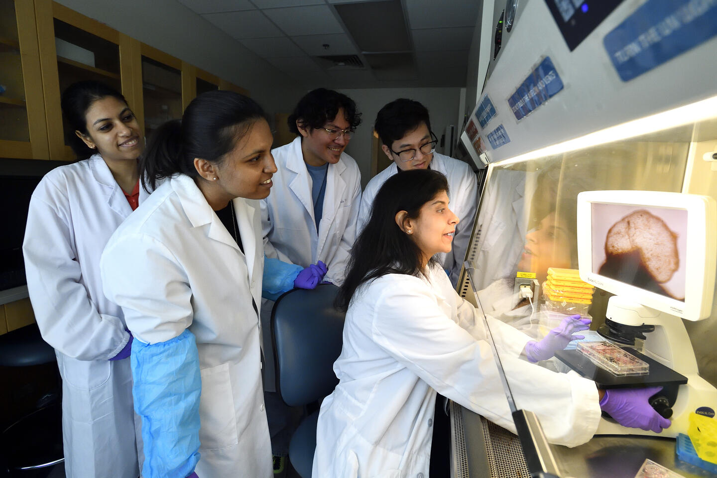 Annie Kathuria and team, all wearing lab coats, gathering round a culture hood and looking at a screen showing an image of an organoid