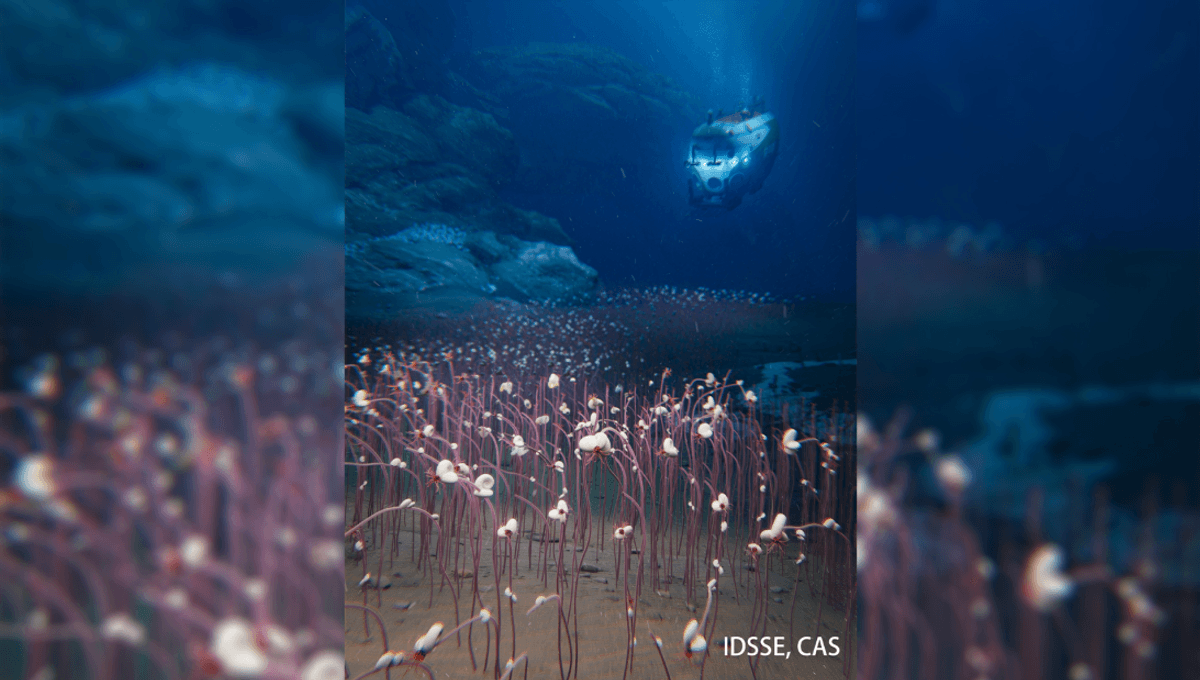 “The Deepest And Most Extensive” Complex Ecosystem Known To Exist On Earth Found 9,000 Meters Below The Sea