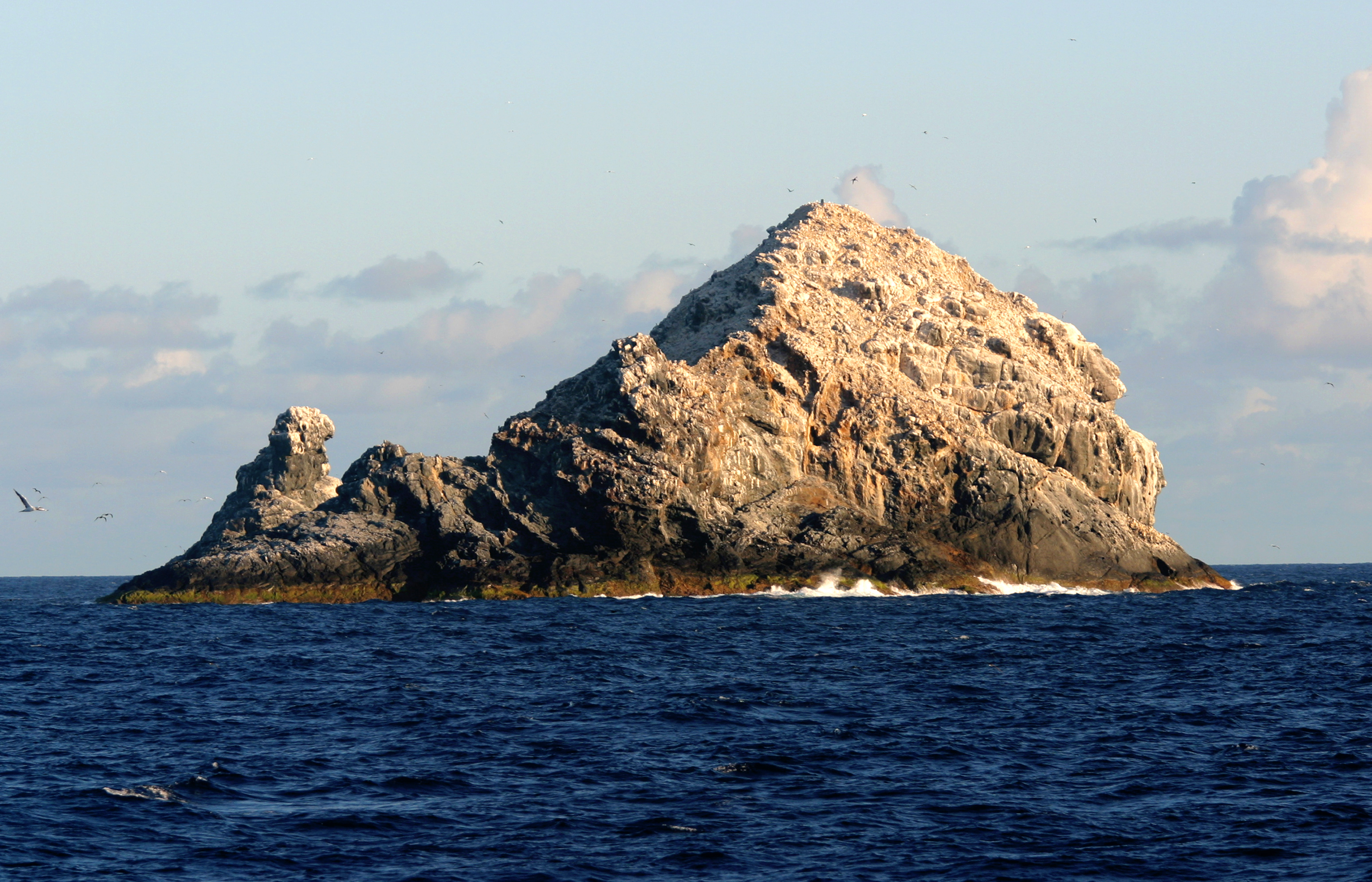 Gardner Pinnacles, Northwestern Hawaiian Islands
