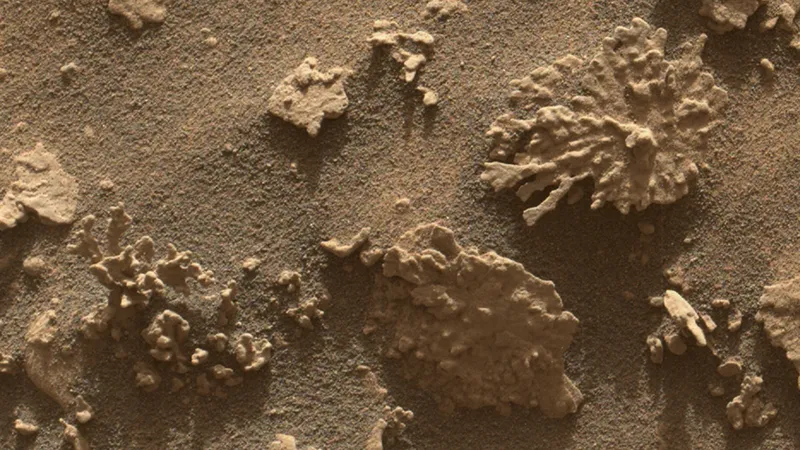 A coral reef shaped rock on Mars.