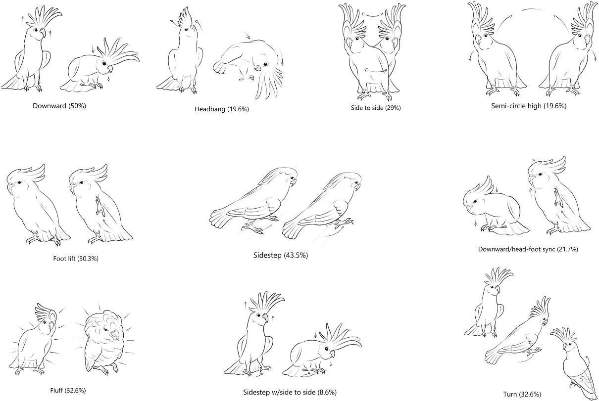 コキトーのダンス