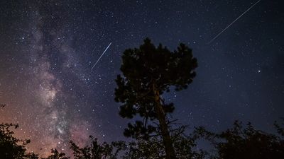 two meteor cross the dark sky with the silhoutte of trees in the foregrouns. 