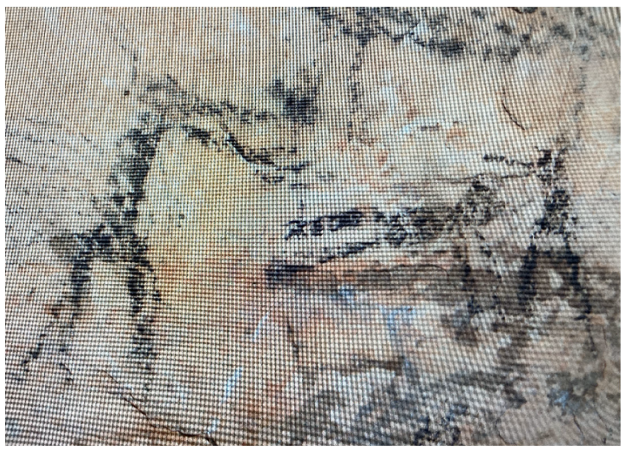Resurrection ritual depicted at Picture Cave