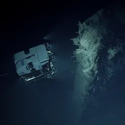 Remotely operated vehicle Deep Discoverer images a large face of a solitary dike seen near the end of the dive