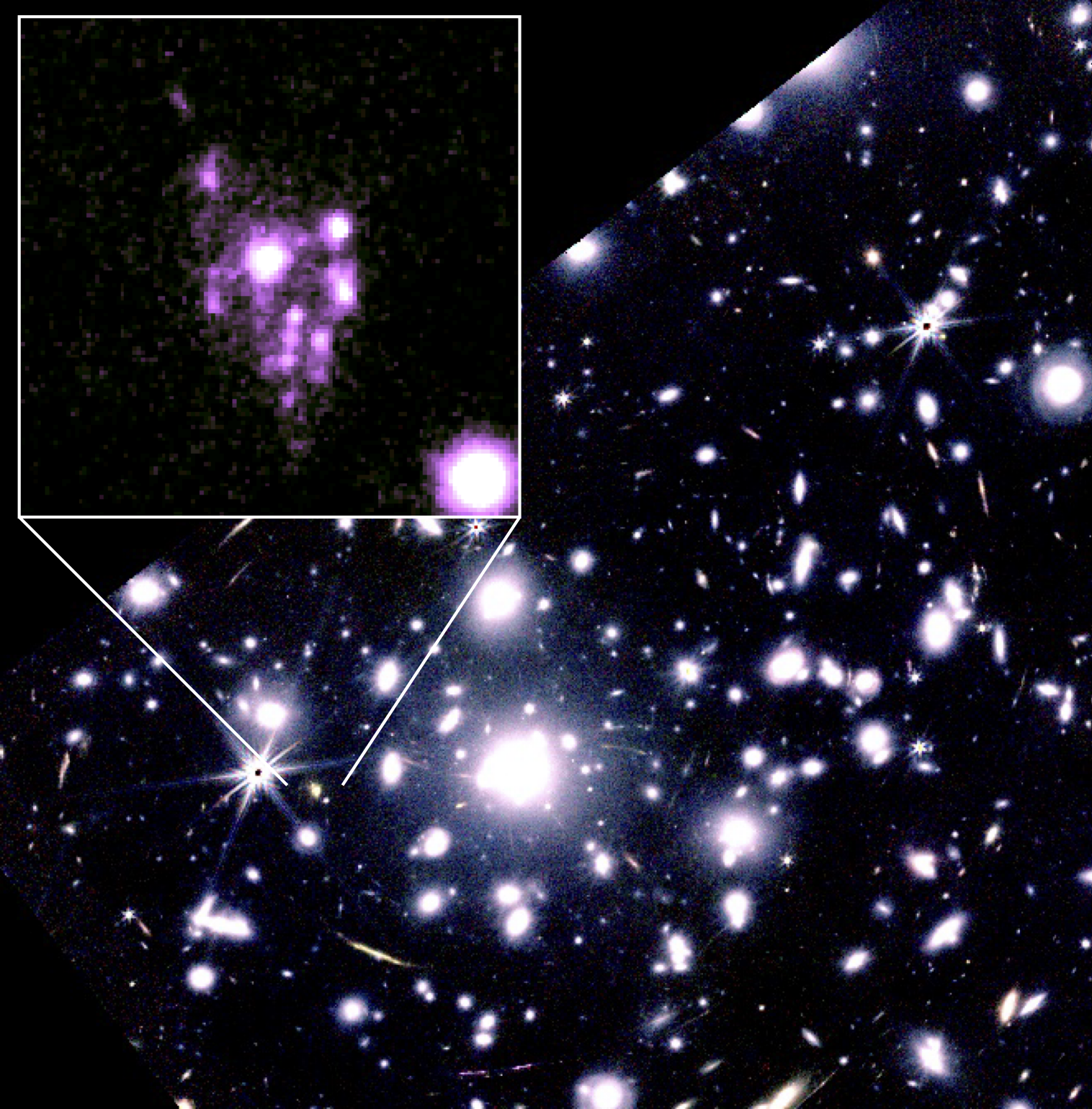 an image of the cluster showing a lot of bright sources and in the inset a pixelated view of the cosmic grapes, that truly look like a bunch of grapes.