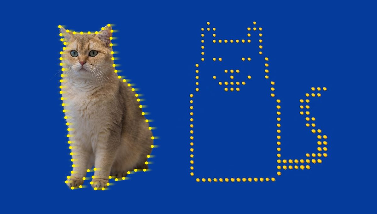 Fisikawan Ciptakan Video Kucing Terkecil di Dunia dengan Kreativitas Fisikawan Ciptakan Video Kucing Terkecil di Dunia dengan Kreativitas