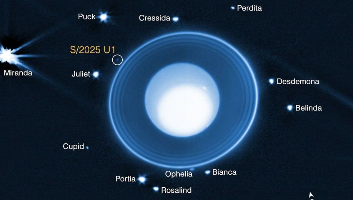 JWST Spots Tiny New Moon Just Outside Uranus's Rings, Bringing Total to 29