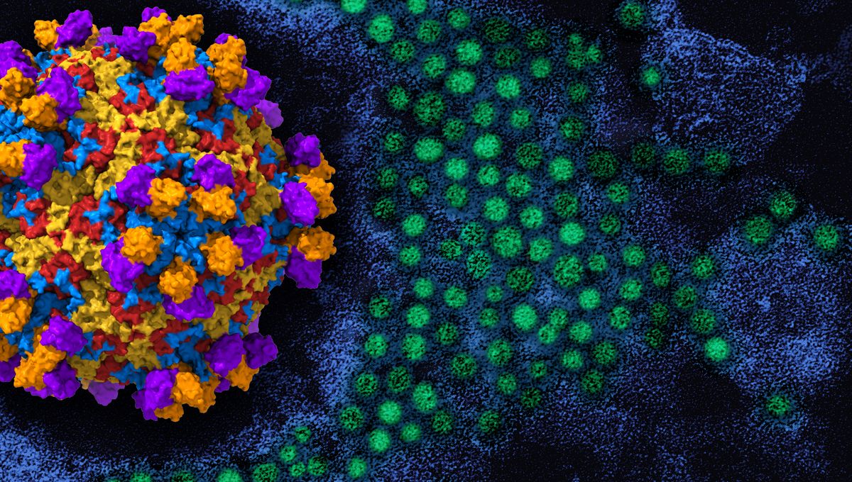 Alternatif Vaksin COVID-19 Berbasis Antibodi Monoklonal Menuju FDA Alternatif Vaksin COVID-19 Berbasis Antibodi Monoklonal Menuju FDA