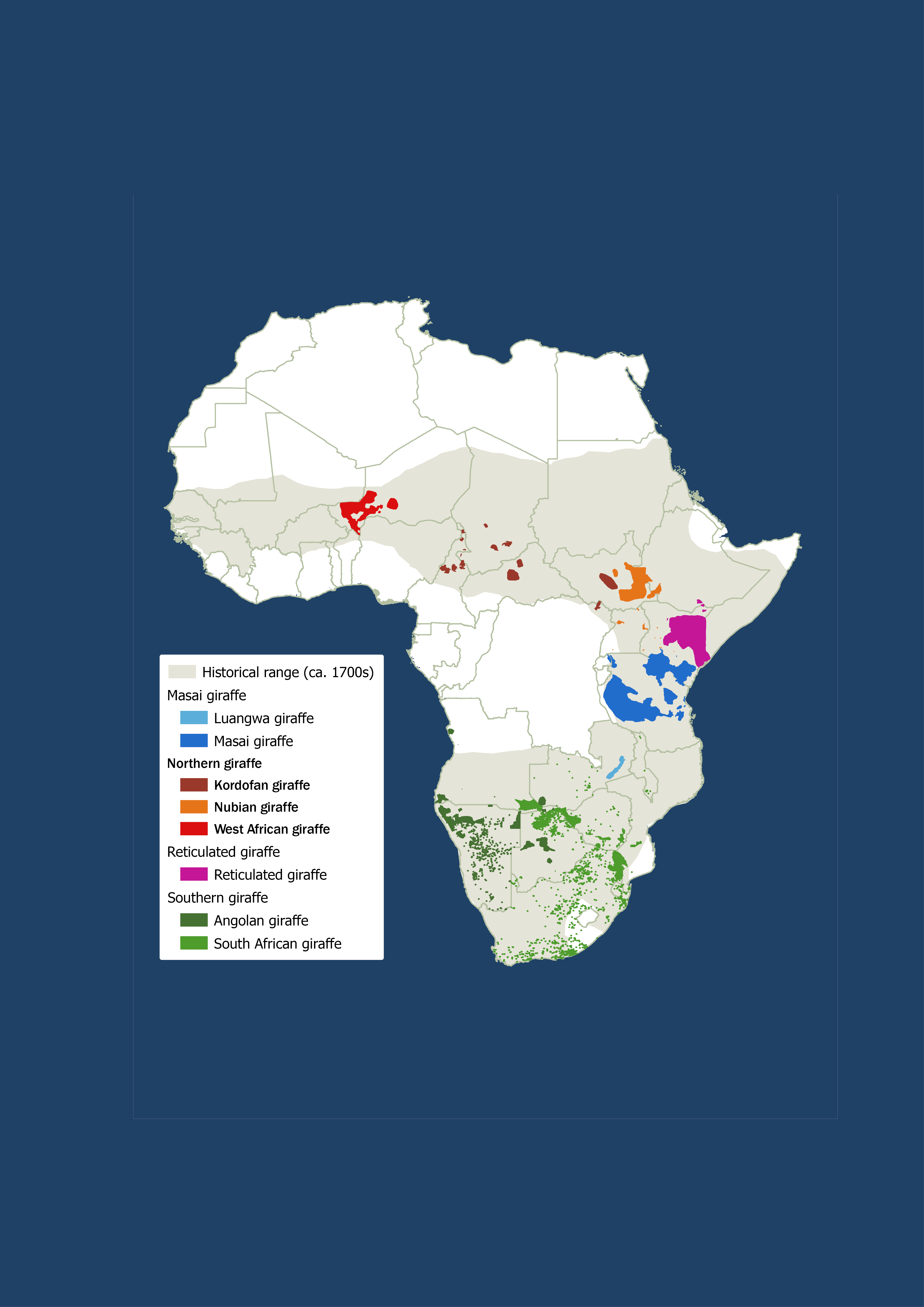 A map of Africa with the new species ranges in different colored dots across the countries. Large areas are greyed out showing the historic range.
