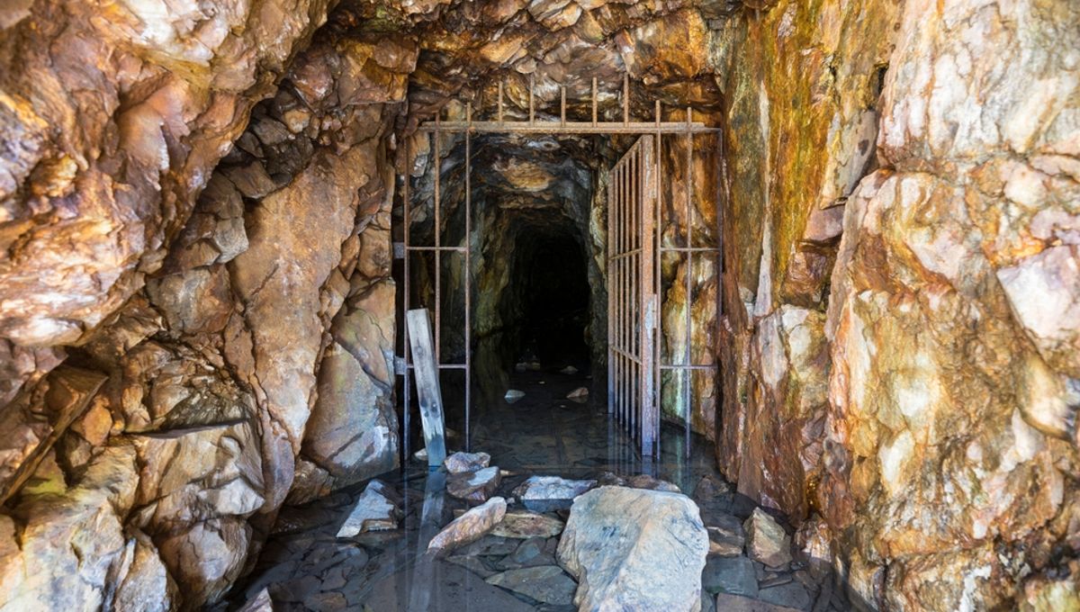 A Geologist Discovered The World’s Oldest Water Deep In A Mine, Then She Tasted It