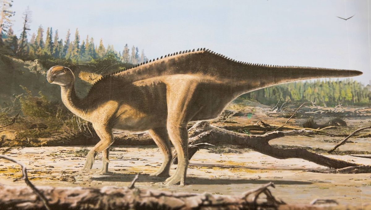 Dinosaur Baru Ditemukan, Struktur ‘Layaknya Perahu’ untuk Menarik Pasangan