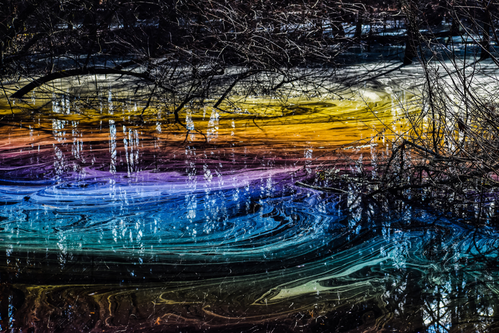 The rainbow effect also occurs in the bald cypress swamps of Alabama. 