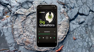 The Big Questions: What Will The Fossils Of The Future Look Like?