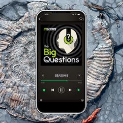 The Big Questions: What Will The Fossils Of The Future Look Like?
