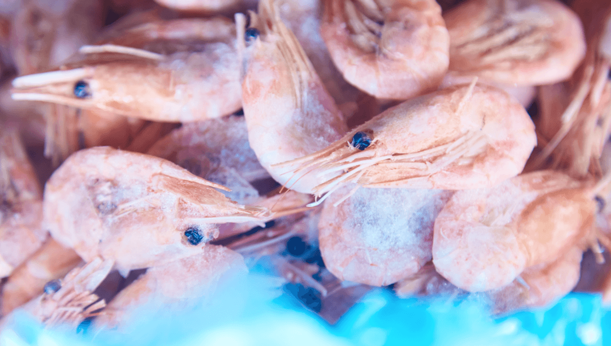 Mengapa Makanan Laut Terkadang Bersinar di Kegelapan? Mengapa Makanan Laut Terkadang Bersinar di Kegelapan?