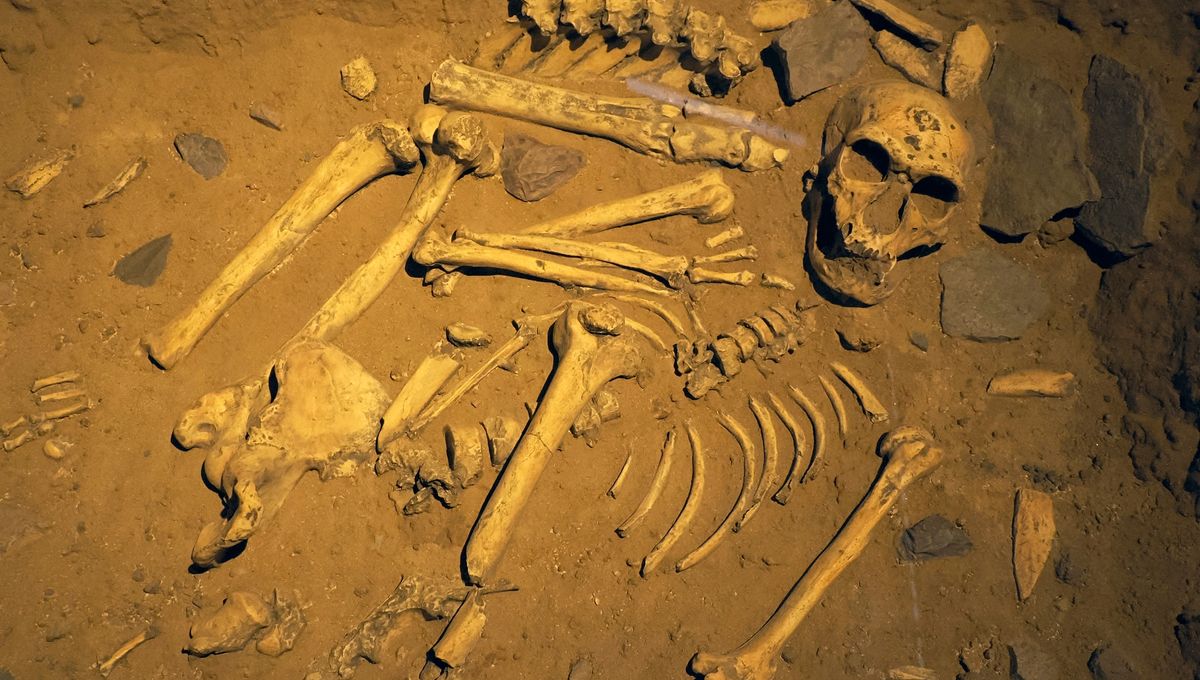 Neanderthals In Iberia Had Funerary Practices – But They Weren’t The Formal Burials We Might Expect