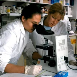 NIAID scientists studying the human immune response to HIV