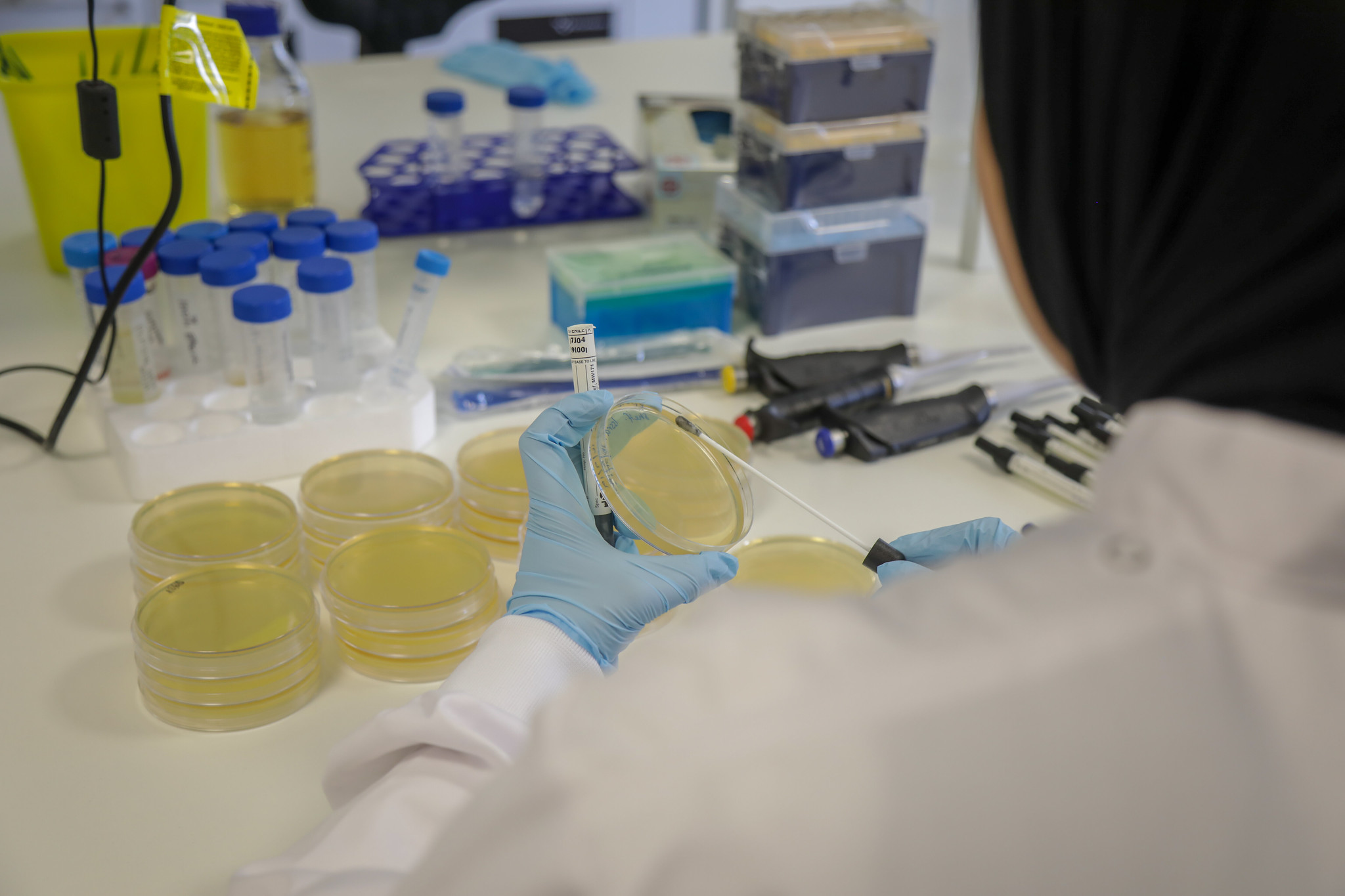 In vitro test for antimicrobial resistance of bacteria
