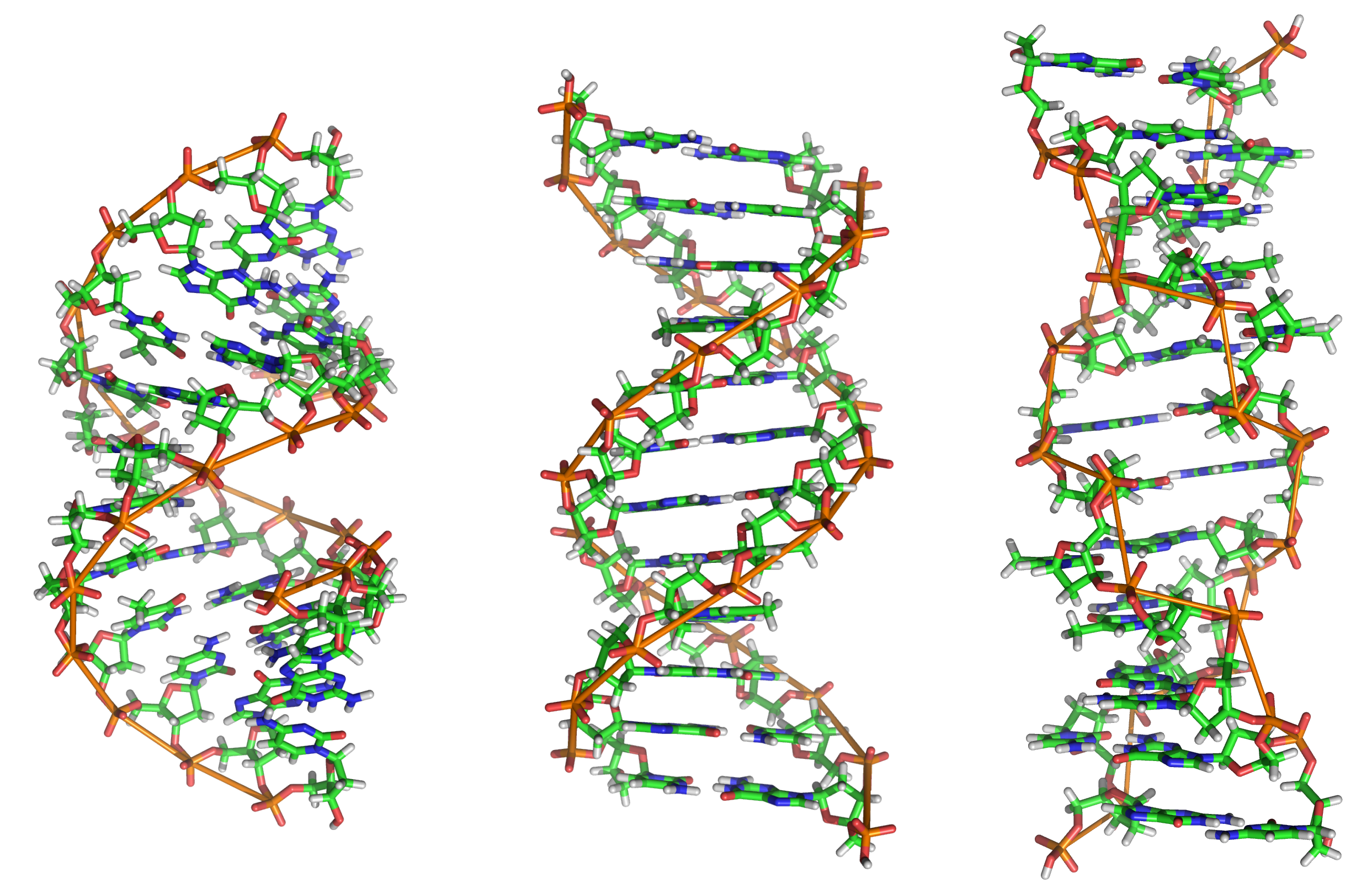 Computational diagram of DNA