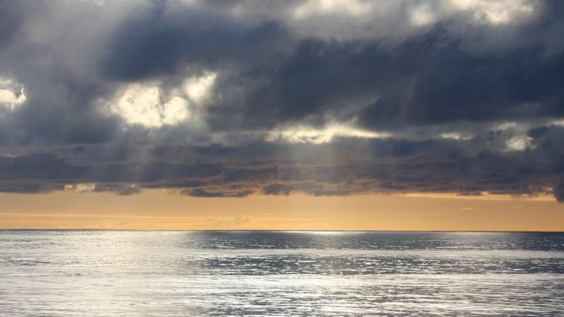 A stretch of the Pacific Ocean where the researchers gathered their samples. 