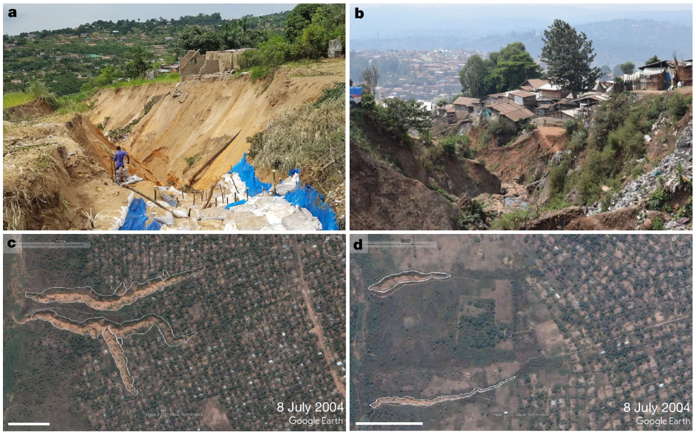 A: A gully in Kinshasa in November 2019. B: Another gully in Bukavu in July 2021. C & D: Google Earth imagery of urban gullies in Kikwit (8 July 2004). 
