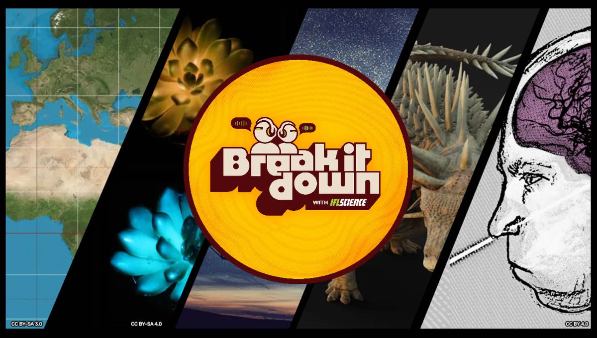 Tanaman Bercahaya, Ankylosaurus Punk, dan Apakah Sinyal Wow! Terpecahkan?