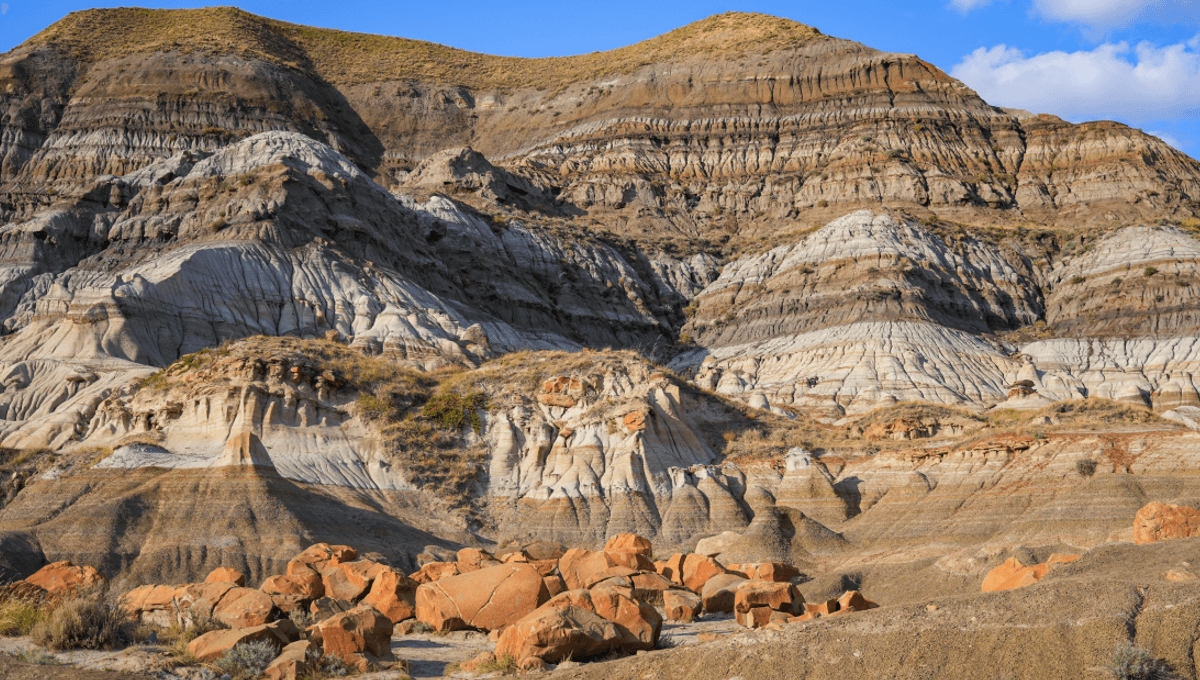 Mass Extinctions, Biodiversity Bursts, And Climate Shifts May Follow A Hidden Pattern That Spans Billions Of Years