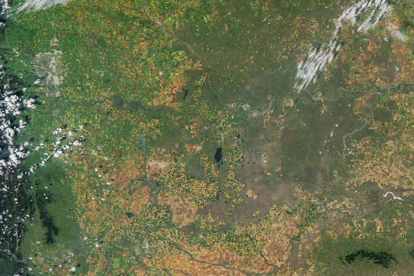 Satellite image of Alberta, taken on August 19, 2025.