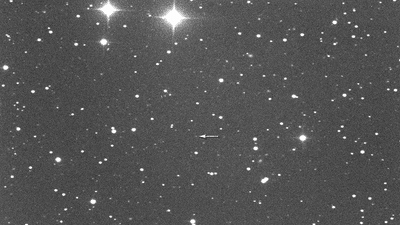 Asteroid 2025 QD8 captured by the Virtual Telescope Project.