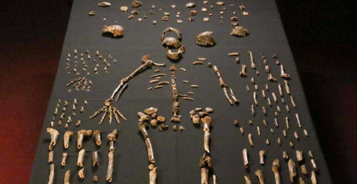 Homo Naledi May Have Buried Its Dead After All, Peer Reviewer Accepts