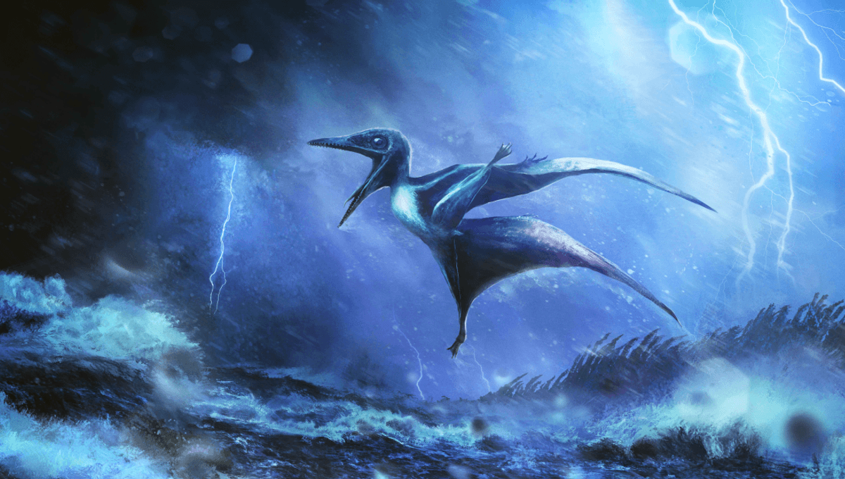 Keturunan Pterosaurus Berusia 150 Juta Tahun Terbawa Badai Keras