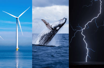 wind turbine, whale, and lightning
