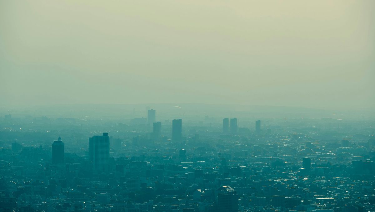 Polusi Udara PM2.5 Dapat Meningkatkan Risiko Beberapa Jenis Demensia