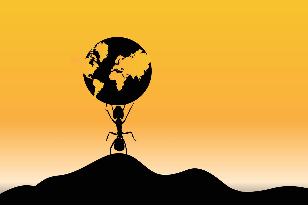 Ants Have Taken Over Most Of The World – Except For A Few Places