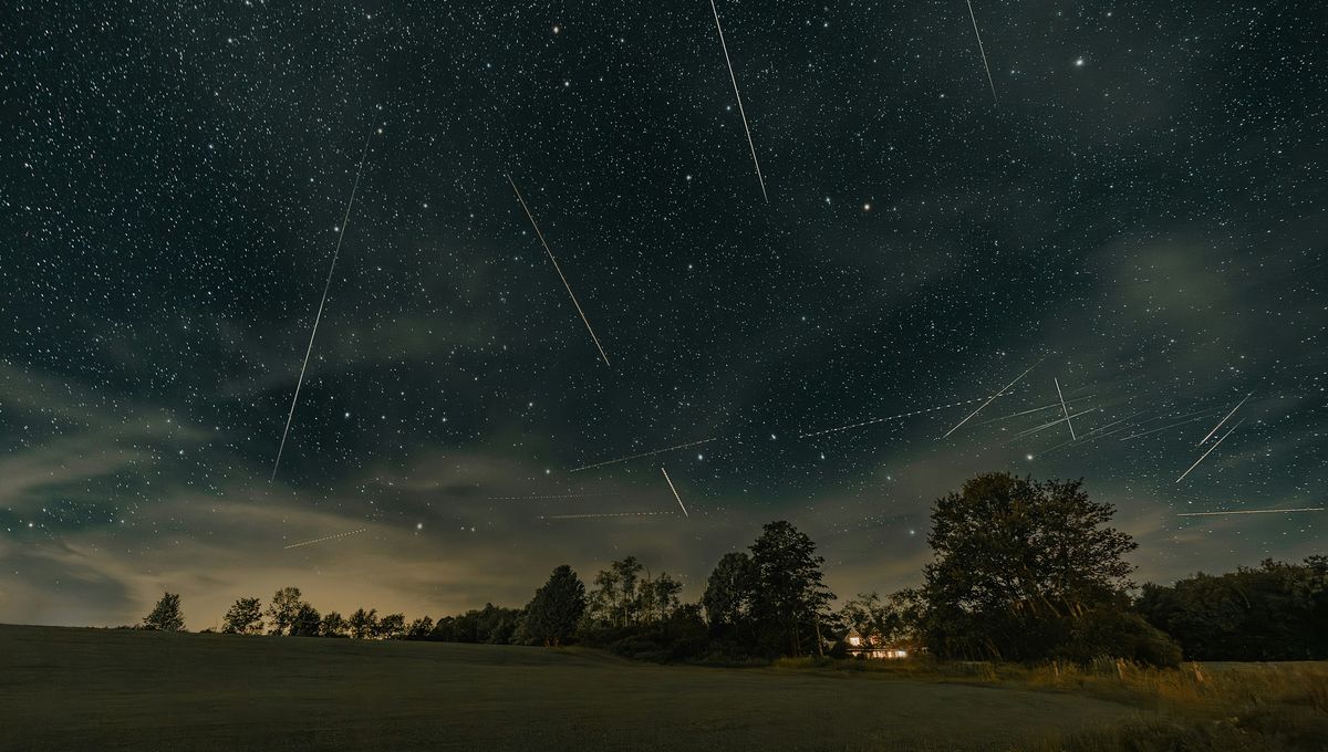 Chi Cygnids: Recently Discovered Meteor Shower That Happens Every Five Years Set To Peak This Month