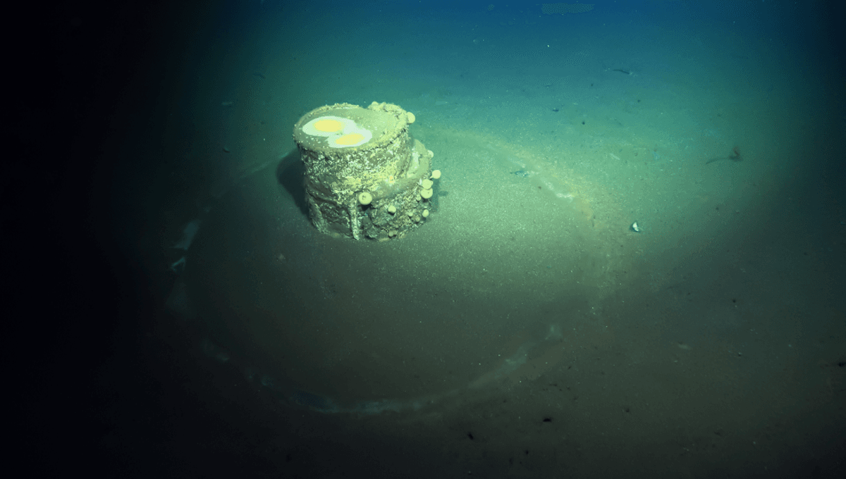 Strange Halos Have Formed Around Barrels Of Chemicals Dumped Off Los Angeles Coastline Over 50 Years Ago