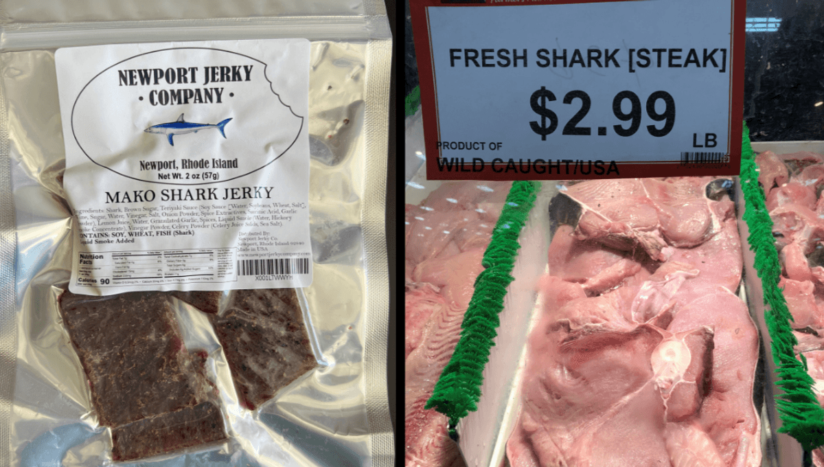 Daging Hiu Terancam Punah Dijual di AS dengan Label Menyesatkan
