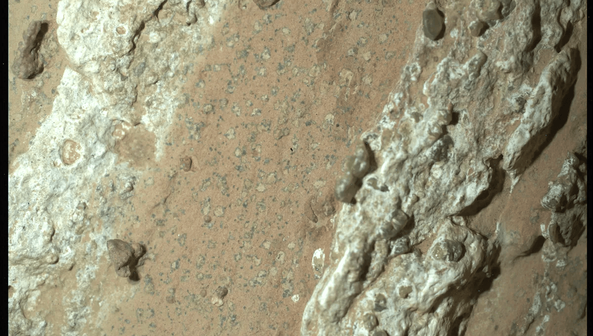 Tanah Liat Mars Menarik Memiliki Ciri-Ciri yang Mungkin Tanda Kehidupan
