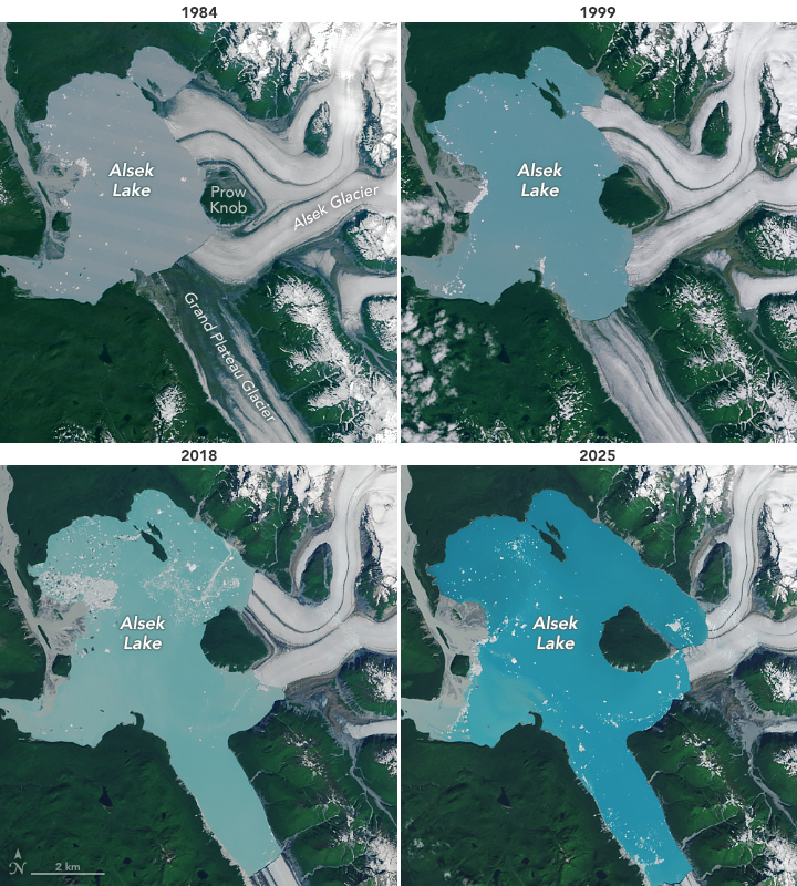 Four images of Alsek Lake and Glacier, one from 1984, one from 1999, one from 2018, and one from 2025.