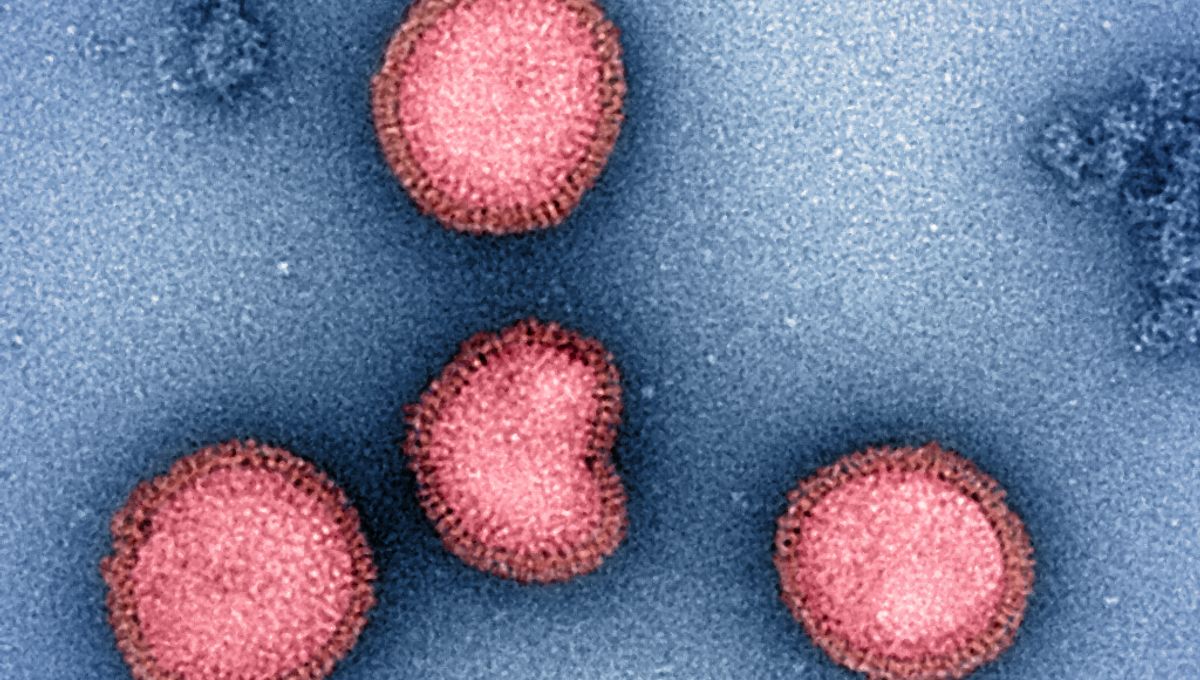 Fakta Penting Vaksin Flu Musiman: Hal yang Perlu Diketahui Saat Musim Dingin