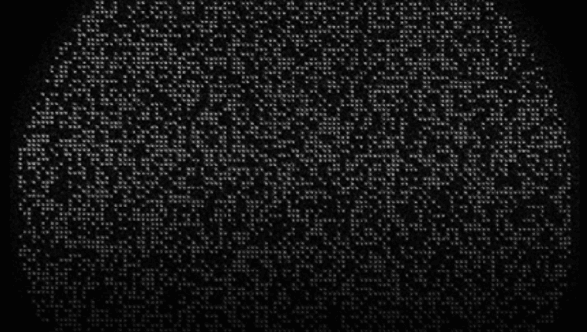 Rekor 6.100 Qubit dari Array Kuantum Terbesar di Dunia
