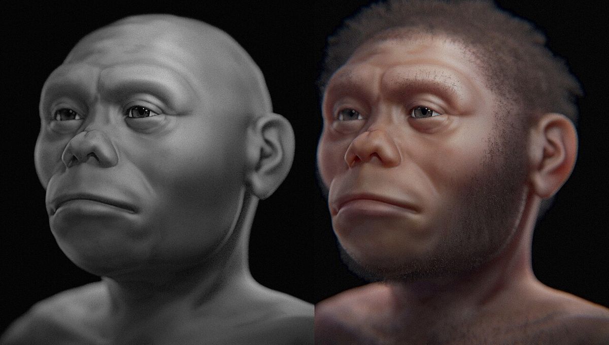 Kami Mungkin Akhirnya Tahu Alasan “Hobbit” Homo Floresiensis Kecil Kami Mungkin Akhirnya Tahu Alasan “Hobbit” Homo Floresiensis Kecil