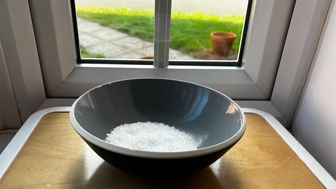 People Are Being Urged To Put Bowls Of Salt In Their Window This Autumn,  But Does It Work? | IFLScience