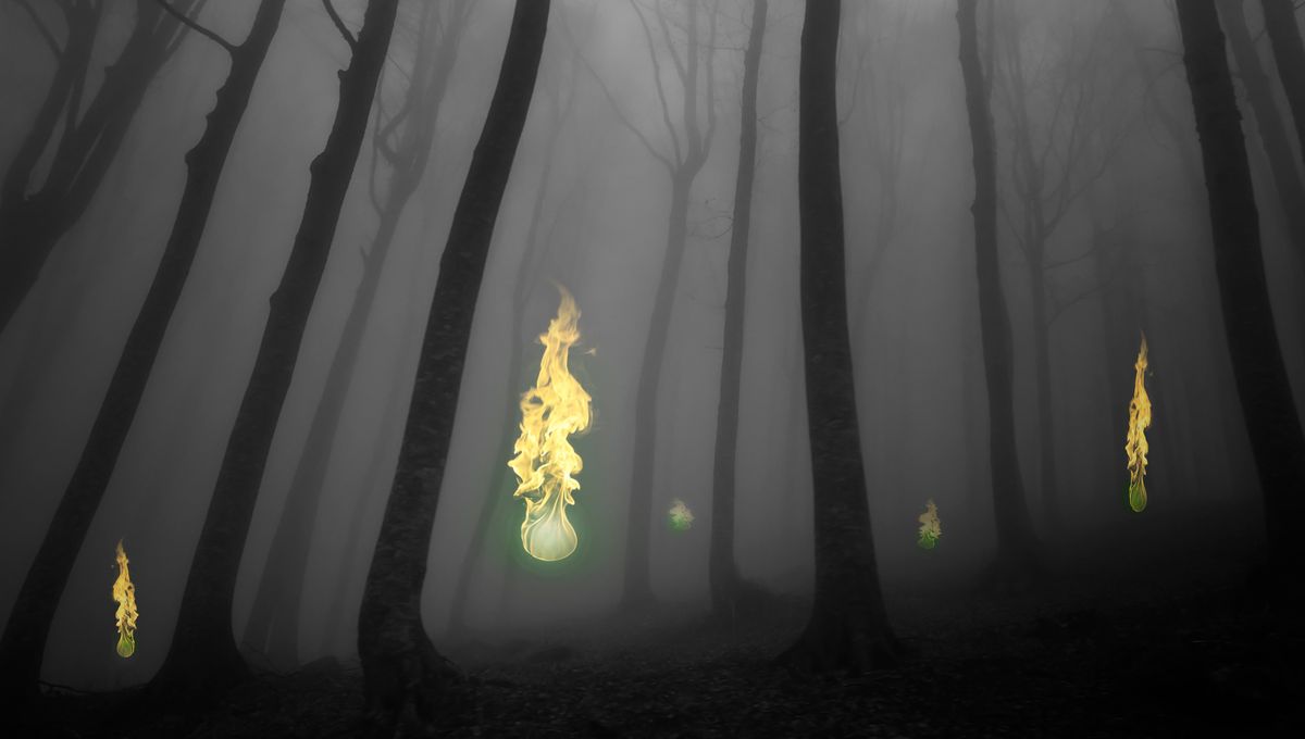 Dapatkah Ilmu Menjelaskan Misteri Cahaya Hantu Will-O’-The-Wisp?