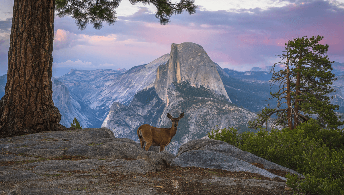 Untuk Pertama Kalinya, Puncak Yosemite Tanpa Es Segera Terlihat