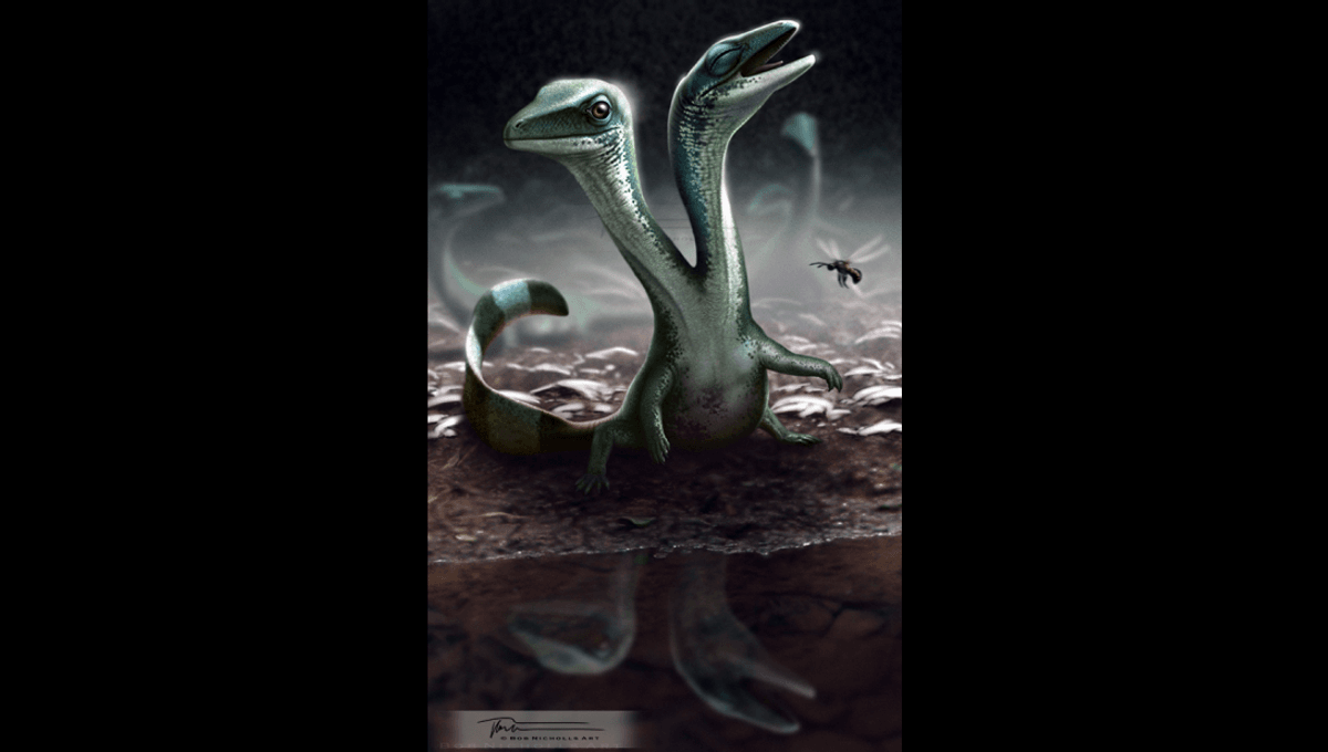 This “Truly Exceptional” Fossil Of A Two-Headed Reptile Is 125 Million Years Old