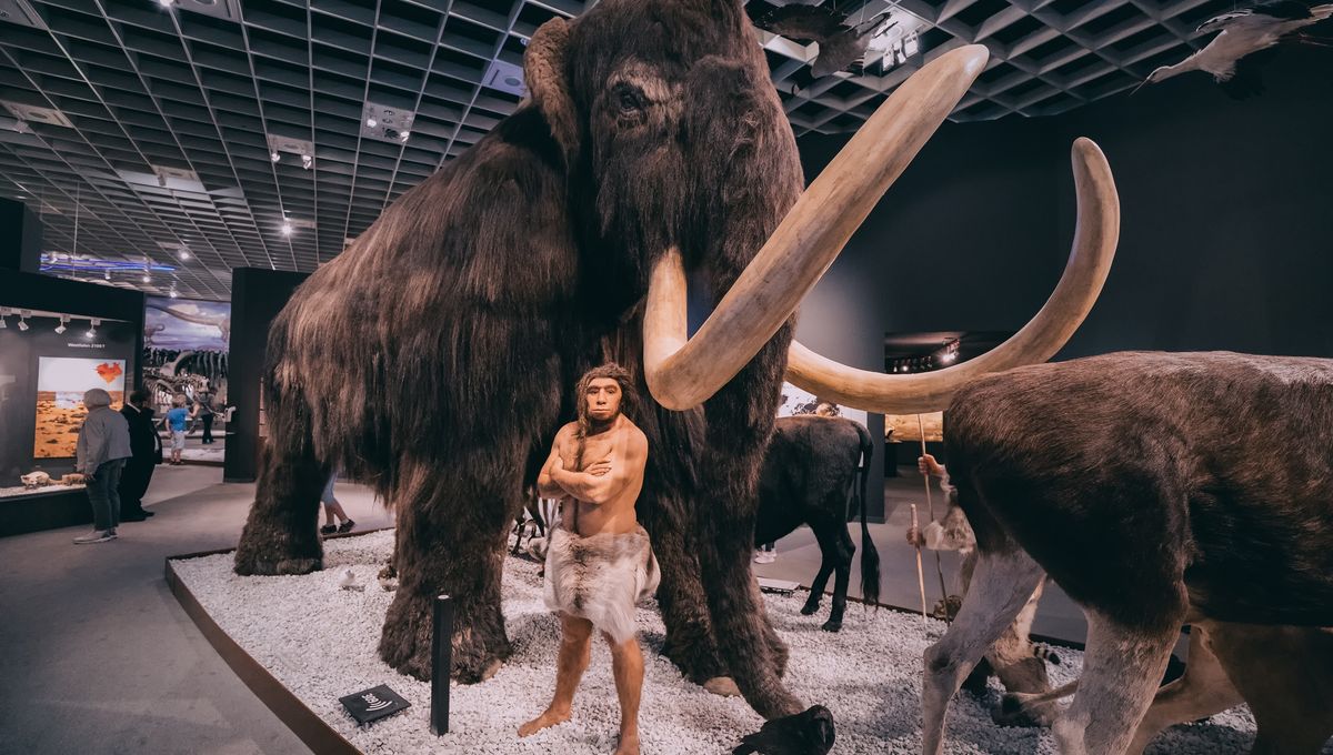 Teknologi, Strategi, atau Bertahan Hidup: Neanderthal Menangkap Mammoth?