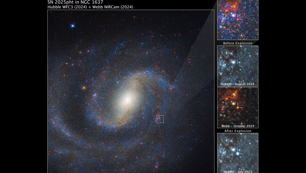 JWST Tampilkan Gambar Terbaik Bintang Supergiant Merah yang Terancam