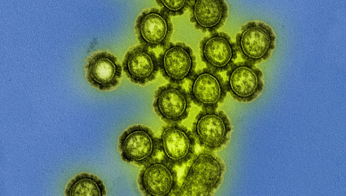Musim Flu 2024-25 Terburuk untuk Anak AS Sejak Pandemi Flu Babi