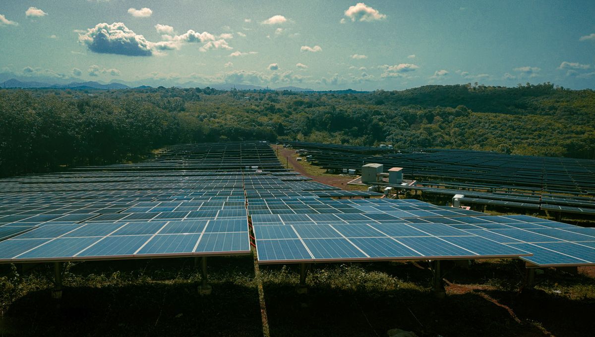 Energi Surya dan Angin Menyalip Batubara Jadi Sumber Listrik Utama